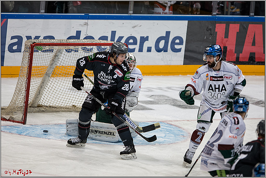 DEL, Koelner Haie - Augsburger Panther, 13.01.2017